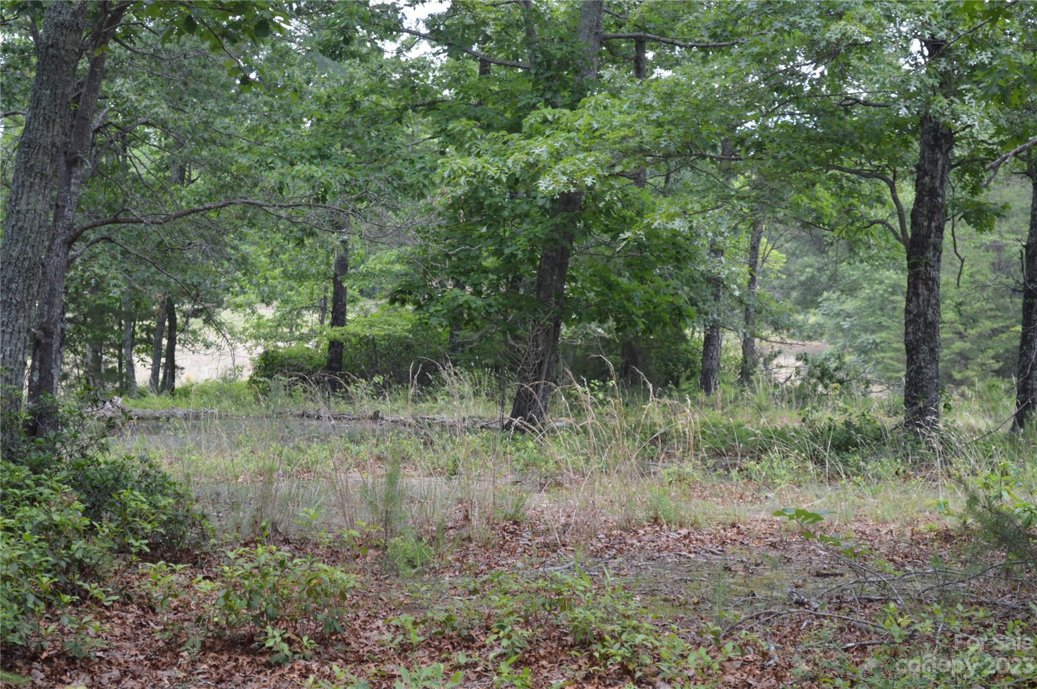 35 Parkway North None Mill Spring, Unit NONE Mill Spring, NC 28756 - Photo 2 of 17 a view of outdoor space and trees