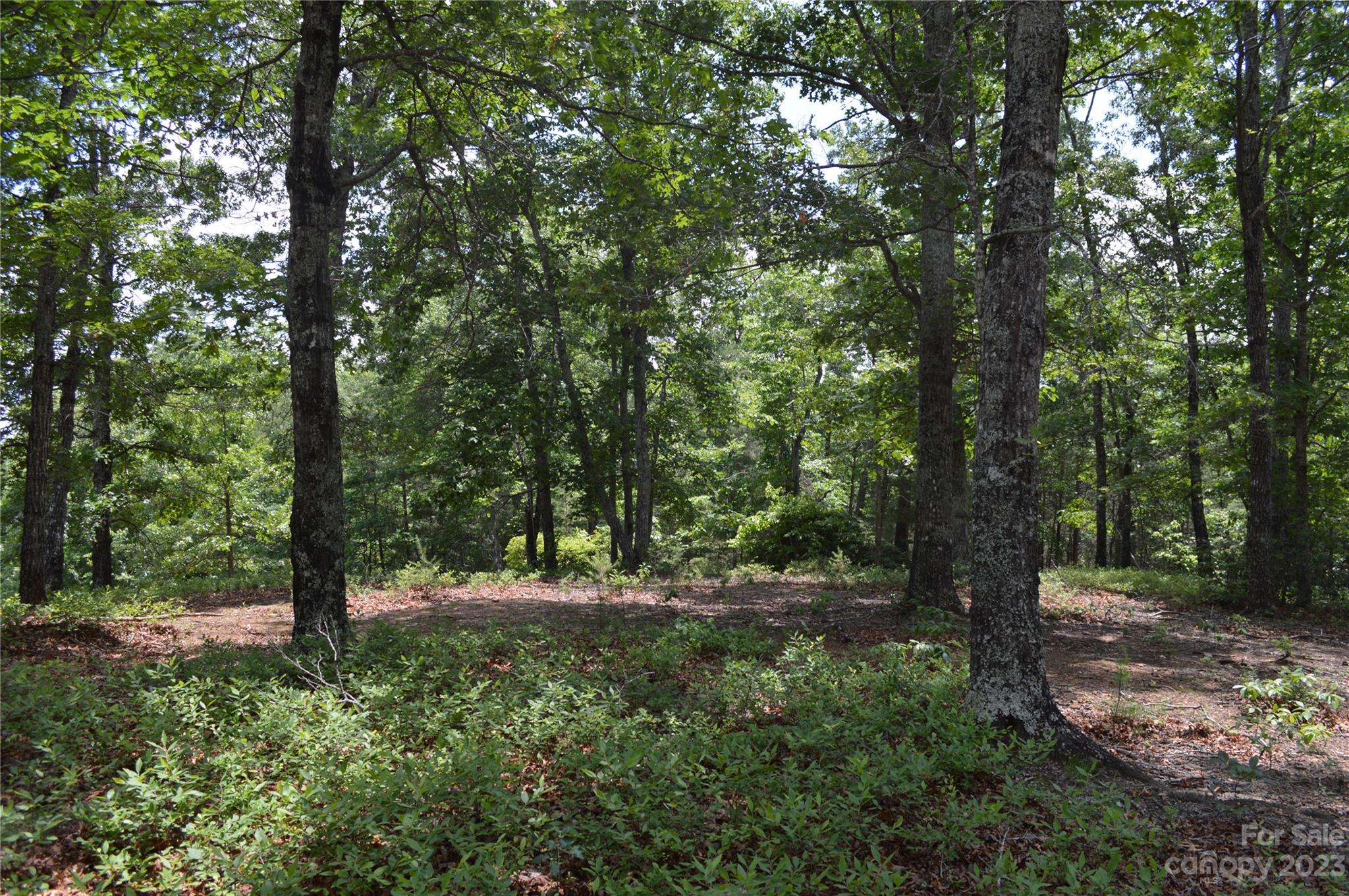 35 Parkway North None Mill Spring, Unit NONE Mill Spring, NC 28756 - Photo 5 of 17 a view of outdoor space and trees