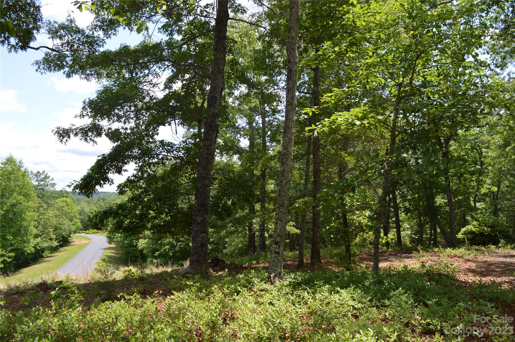 35 Parkway North None Mill Spring, Unit NONE Mill Spring, NC 28756 - Photo 6 of 17 a view of a yard with a tree