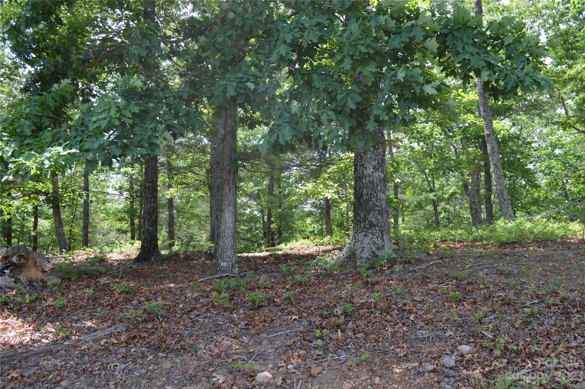 35 Parkway North None Mill Spring, Unit NONE Mill Spring, NC 28756 - Photo 9 of 17 a view of outdoor space and green space