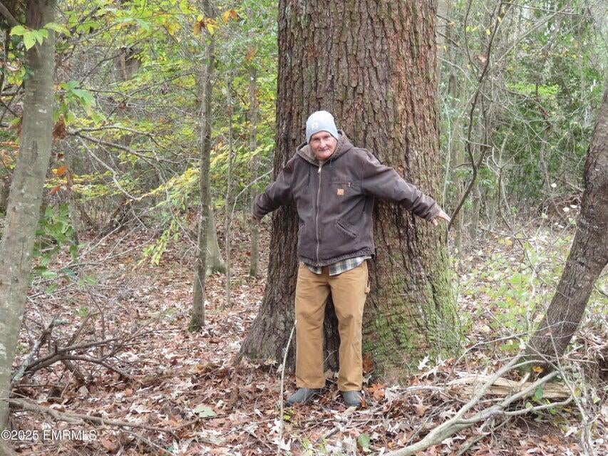 301 Co Road Heidelberg, MS 39439 - Photo 22 of 28 20251204213606077266000000-o