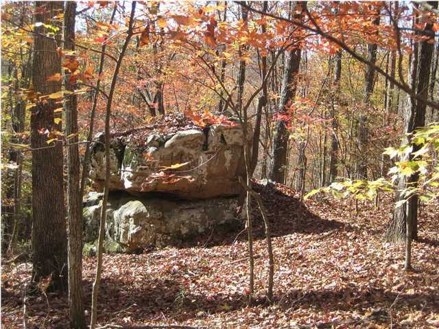 15 Woodall Point Road Sewanee, TN 37375 - Photo 1 of 9 Primary Photo