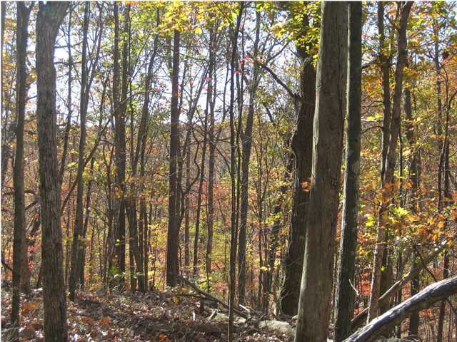 15 Woodall Point Road Sewanee, TN 37375 - Photo 3 of 9 Additional Photo