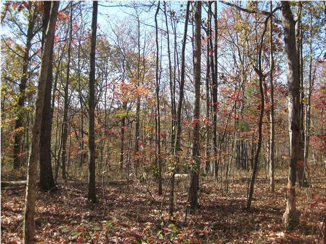 15 Woodall Point Road Sewanee, TN 37375 - Photo 4 of 9 Additional Photo