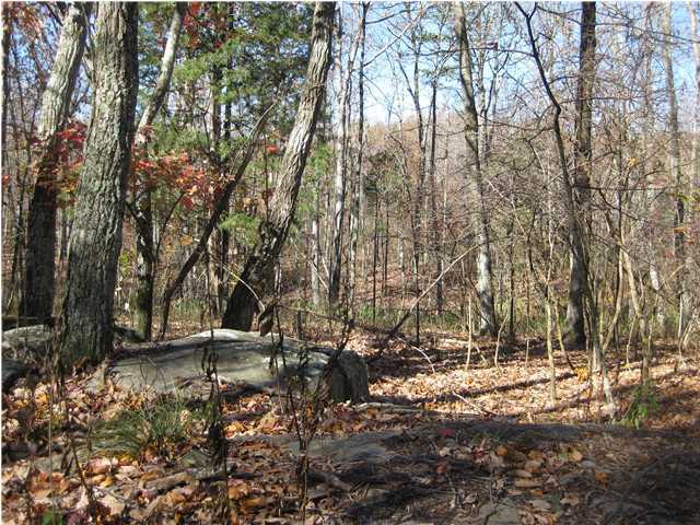 15 Woodall Point Road Sewanee, TN 37375 - Photo 5 of 9 Additional Photo
