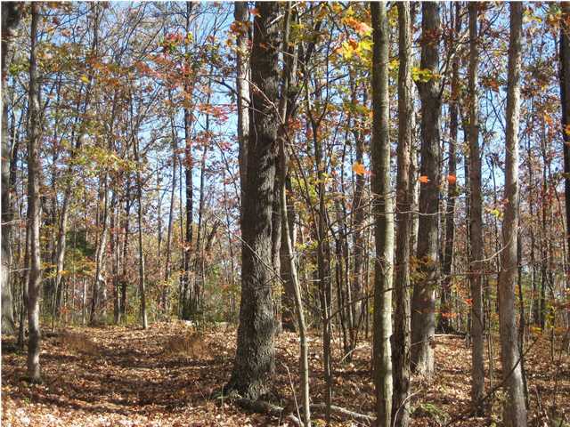 15 Woodall Point Road Sewanee, TN 37375 - Photo 6 of 9 Additional Photo