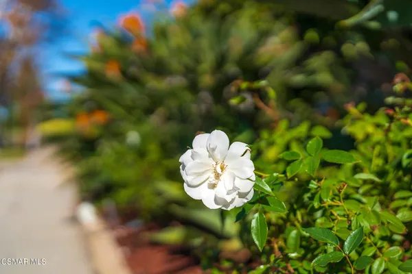 $7,995 | 4524 Greengate Court, Westlake Village, CA 91361