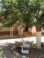 5781 South Rafter Road Tucson, AZ 85757 - Photo 1 of 1