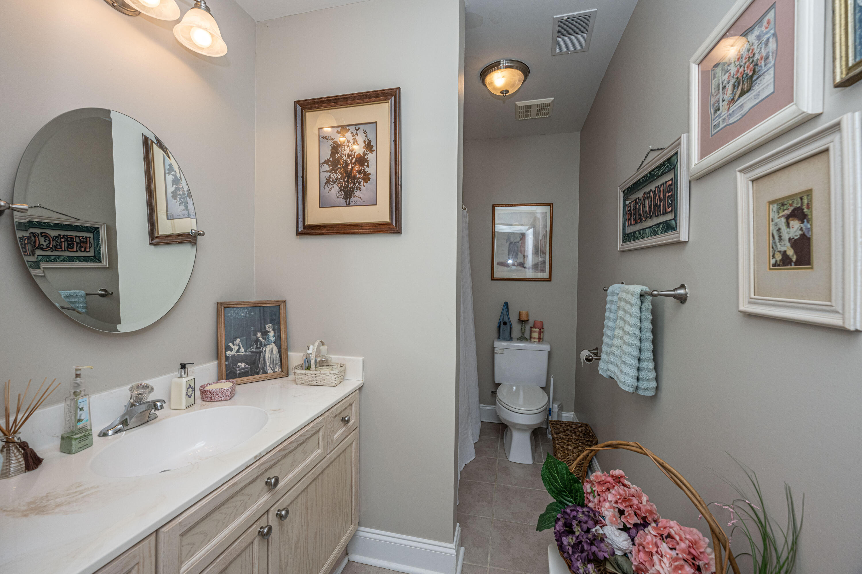 671 Fair Spring Drive Charleston, SC 29414 - Photo 38 of 46 Upstairs Bath
