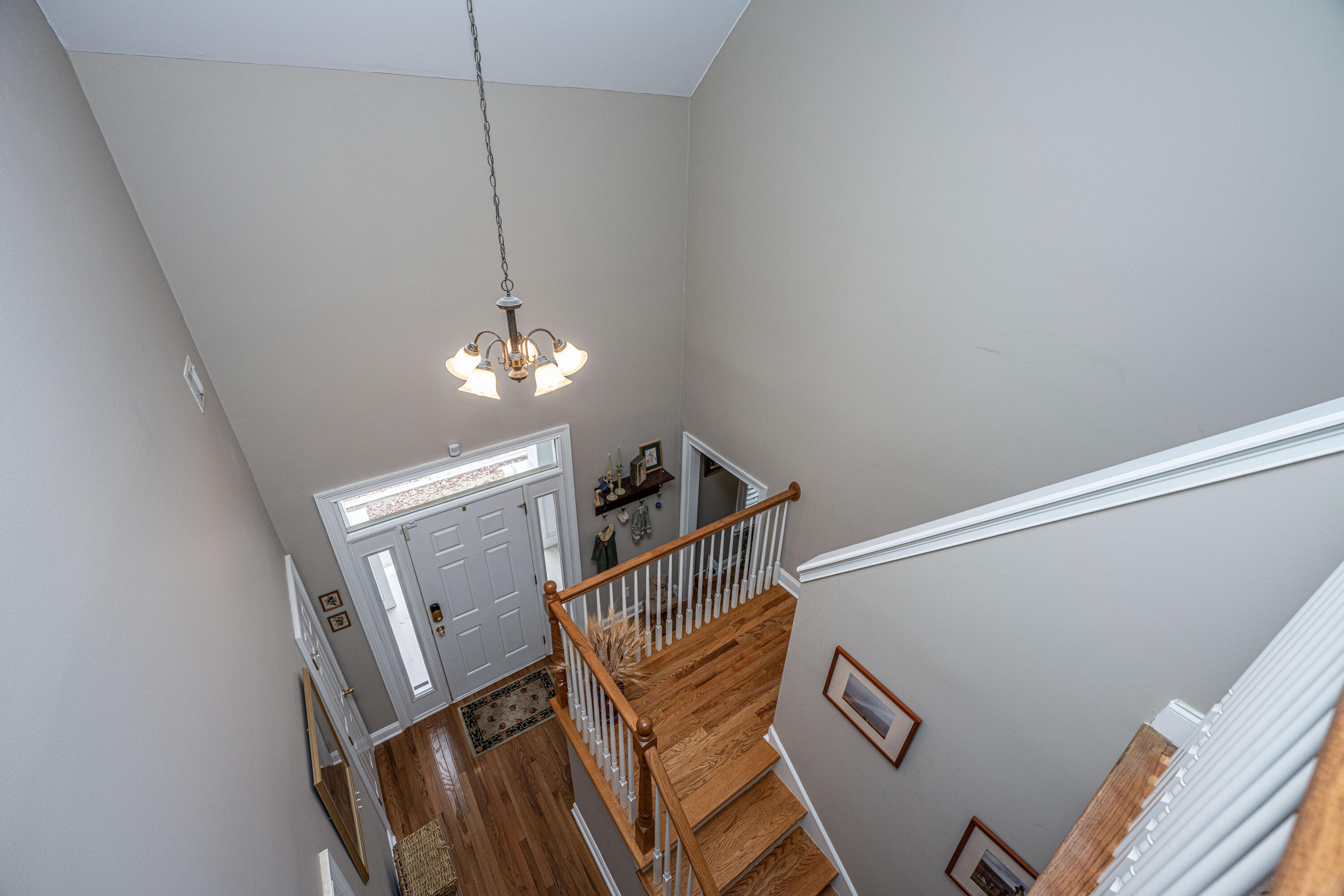671 Fair Spring Drive Charleston, SC 29414 - Photo 7 of 46 2 Story Foyer