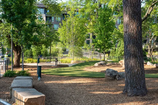 a view of a park with plants and large trees