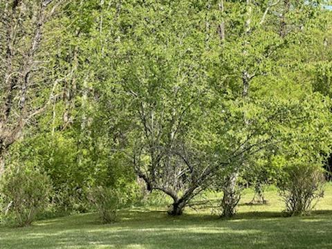 276 Sandy River Road Axton, VA 24054 - Photo 2 of 33 32