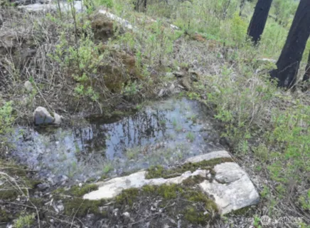 $39,000 | 0 Tbd Evans Ranch Road, Riverside, WA 98849