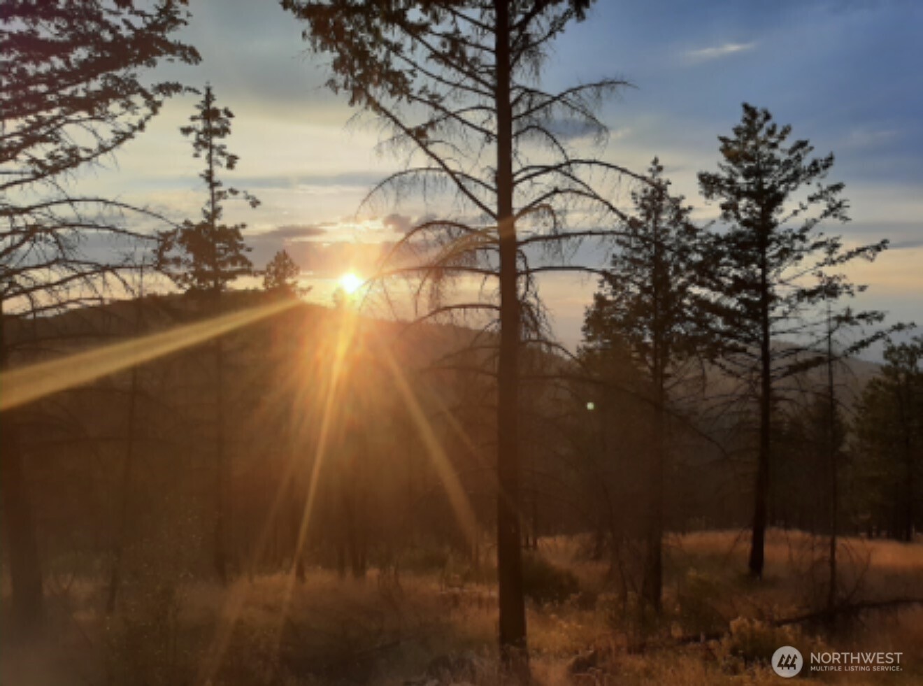 0 Tbd Evans Ranch Road Riverside, WA 98849 - Photo 11 of 16