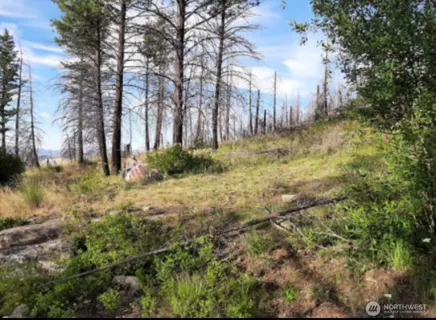 $39,000 | 0 Tbd Evans Ranch Road, Riverside, WA 98849