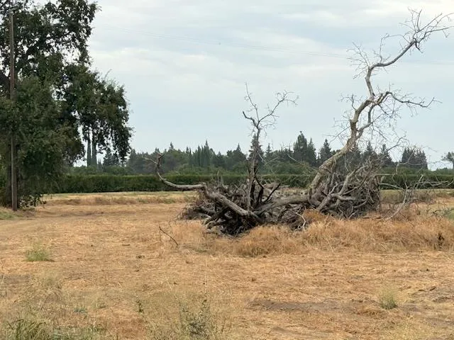 $1,300,000 | 0 Live Oak Boulevard, Live Oak, CA 95953