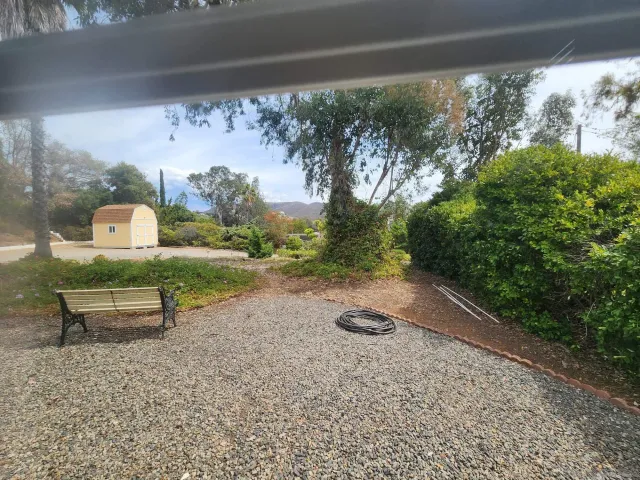 a view of a yard with a tree