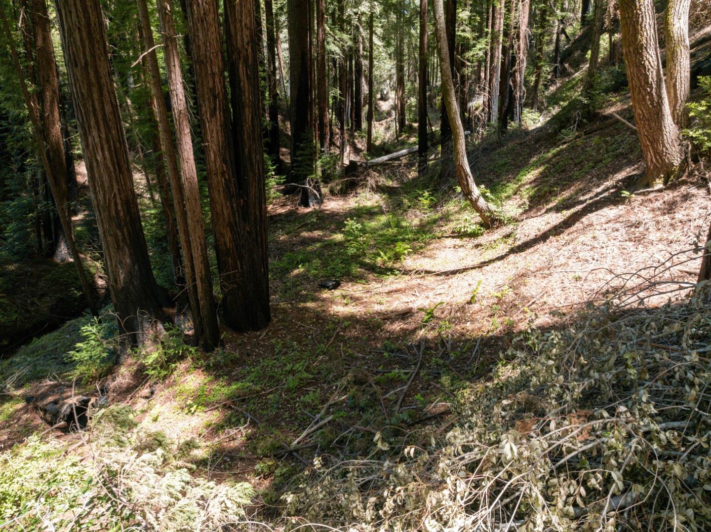 Lot 17 Branson Ranch Boulder Creek, CA 95006 - Photo 26 of 45 a view of a backyard of the house