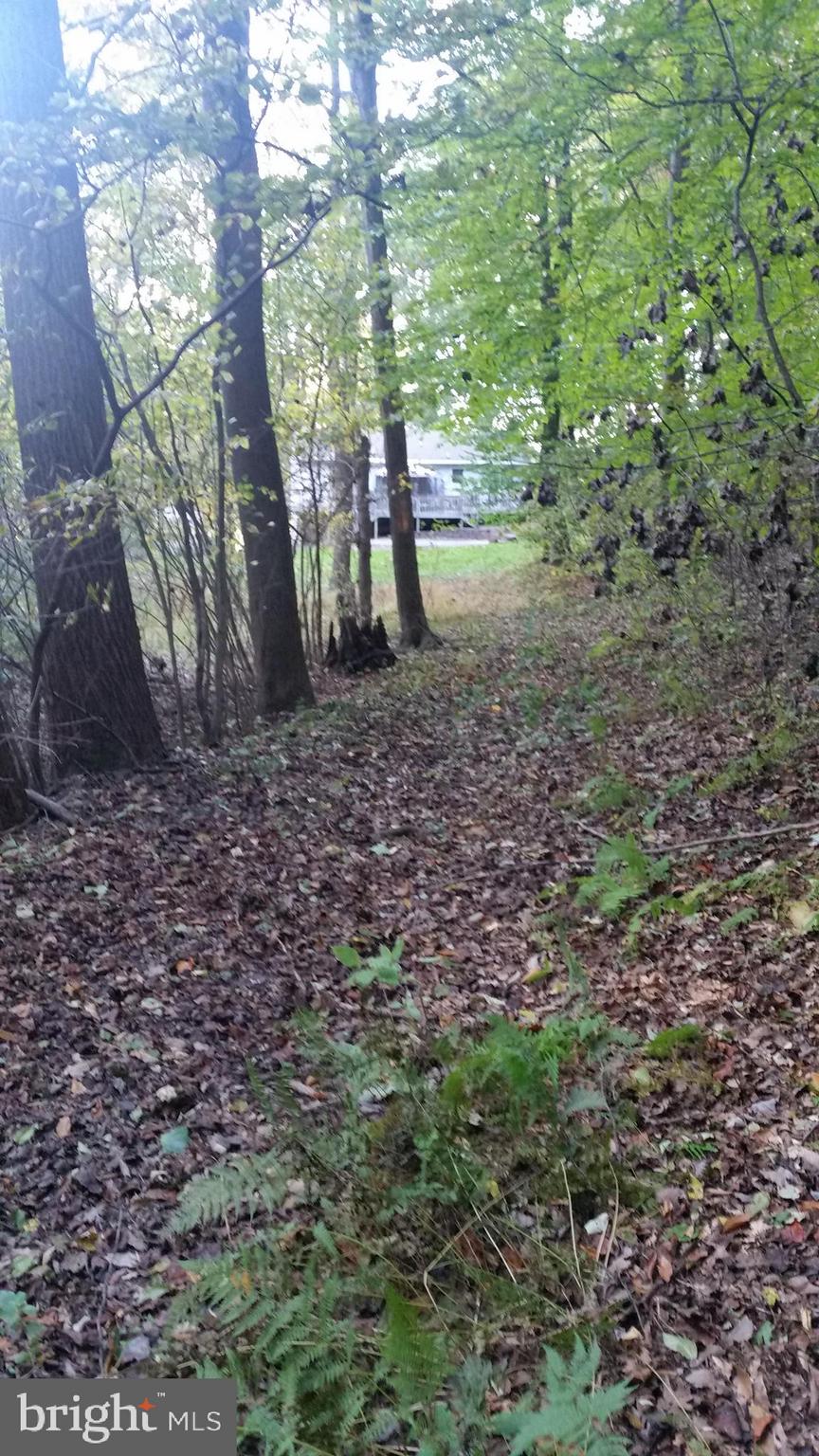 832 Taylor Road Windsor, PA 17366 - Photo 18 of 48