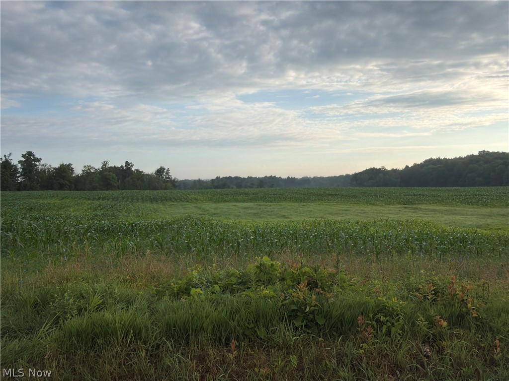 5201 Emerson Road Madison, OH 44057 - Photo 1 of 50