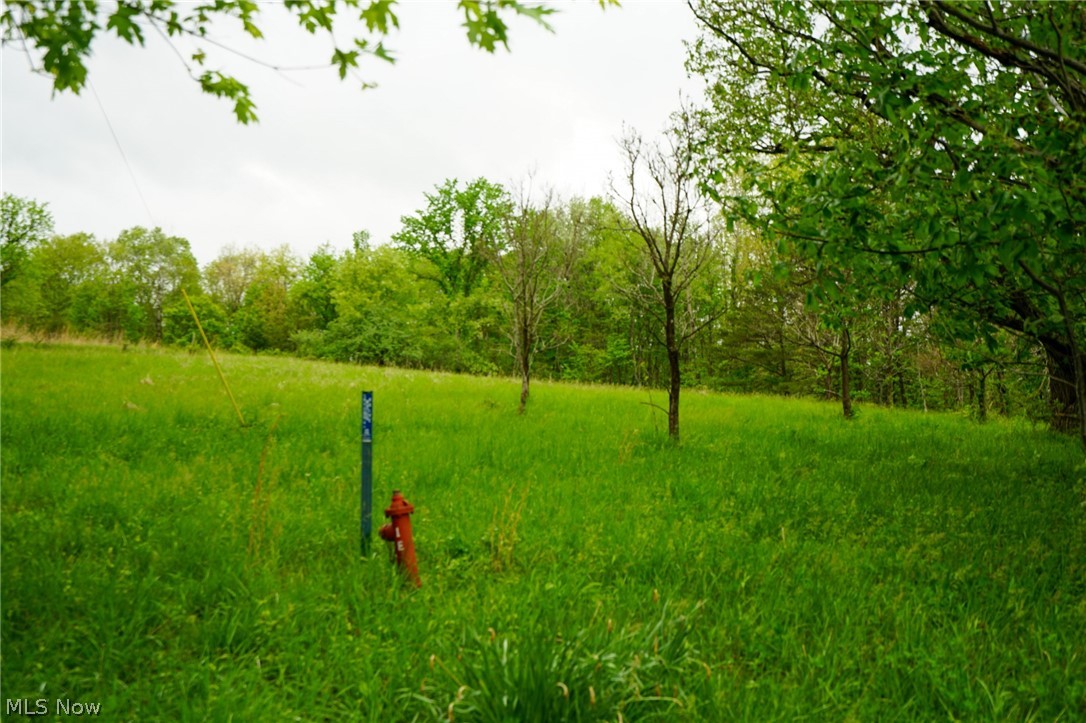 Hill Road Stockport, OH 43787 - Photo 2 of 40