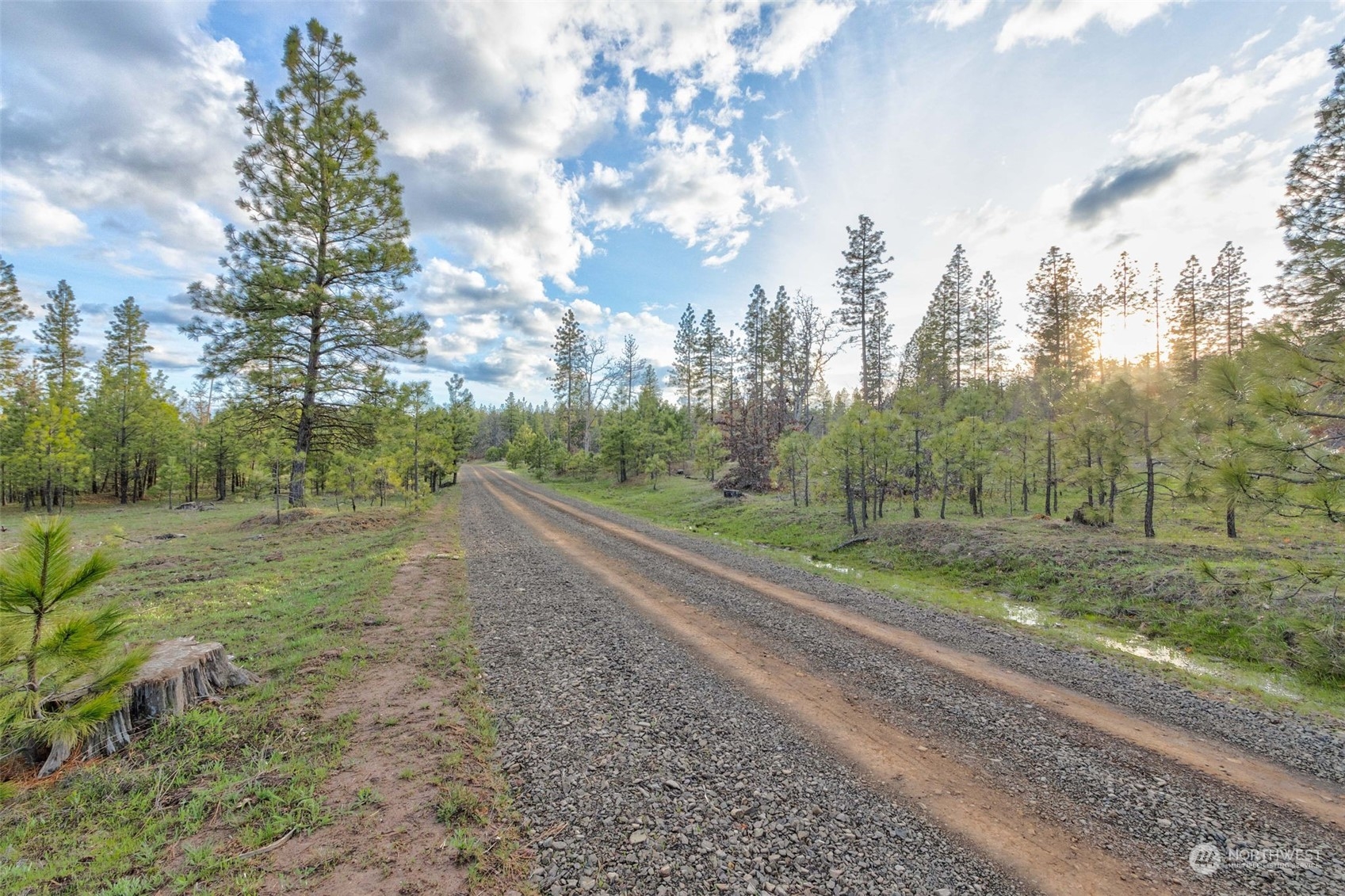 14 Greyback Mt Road Goldendale, WA 98620 - Photo 11 of 25 Gallery Image 11