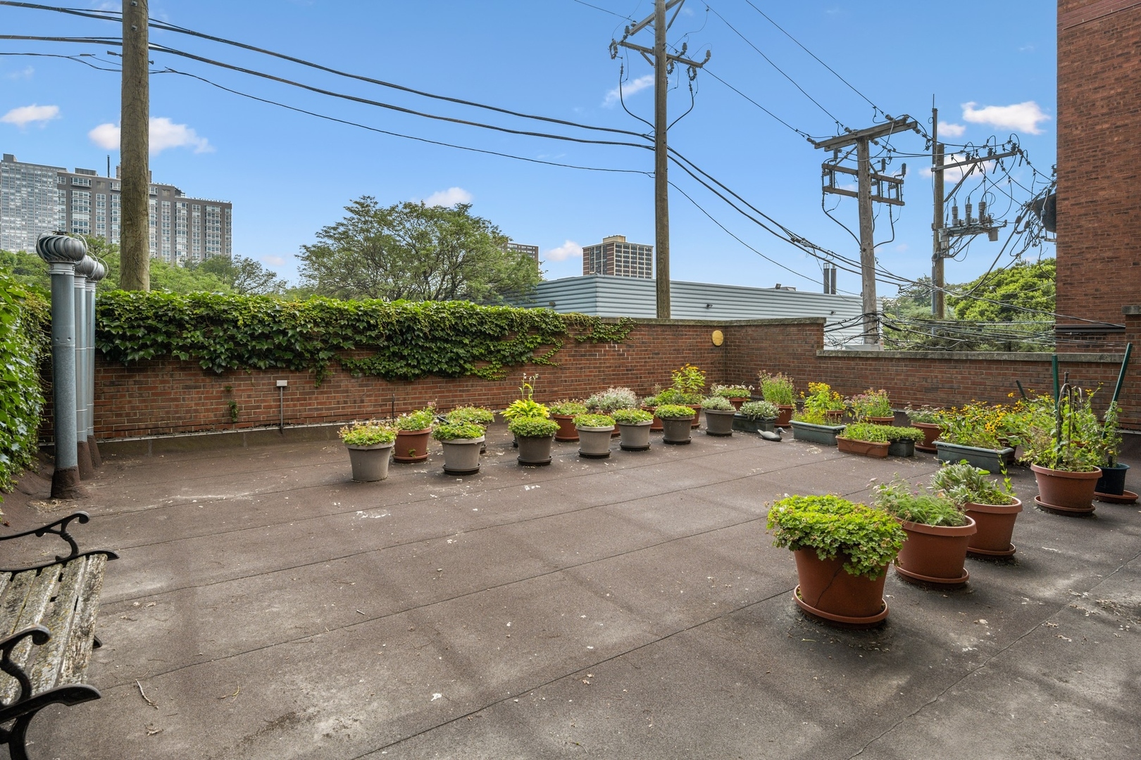 731 West Junior Terrace Chicago, IL 60613 - Photo 20 of 30 a view of a patio with dining table and chairs potted plants