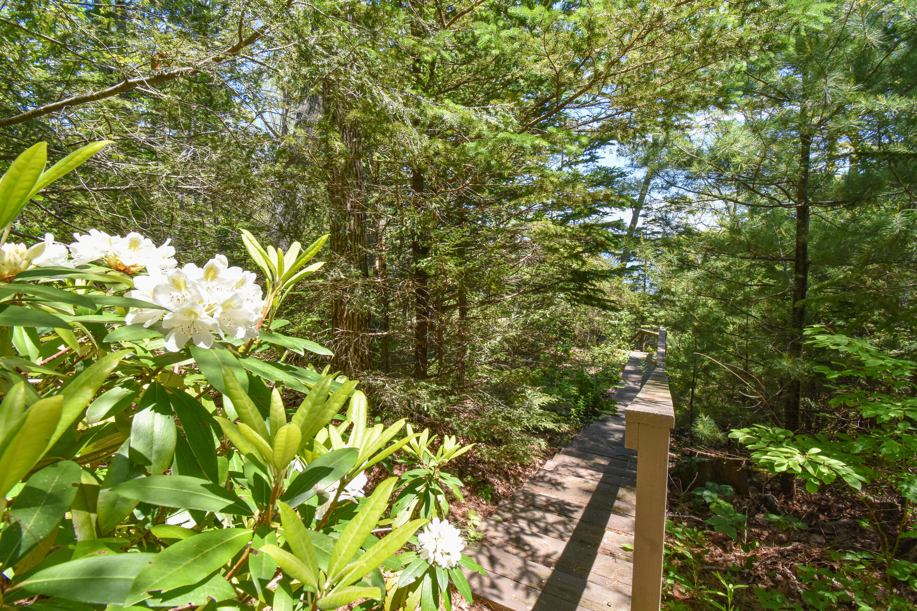 143 Meadow Cove Road East Boothbay, ME 04544 - Photo 42 of 78 143MeadowCoveRd.Boothbay-43