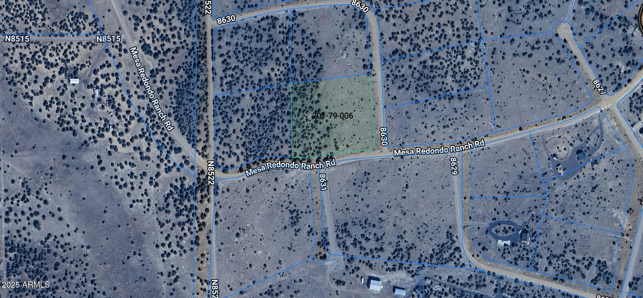 a close up of a plant