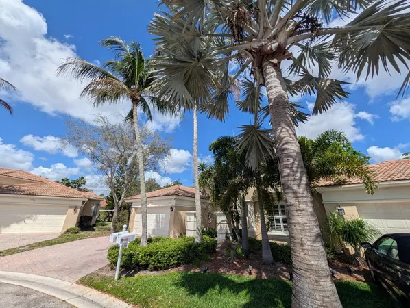 a view of a palm trees in front of a house