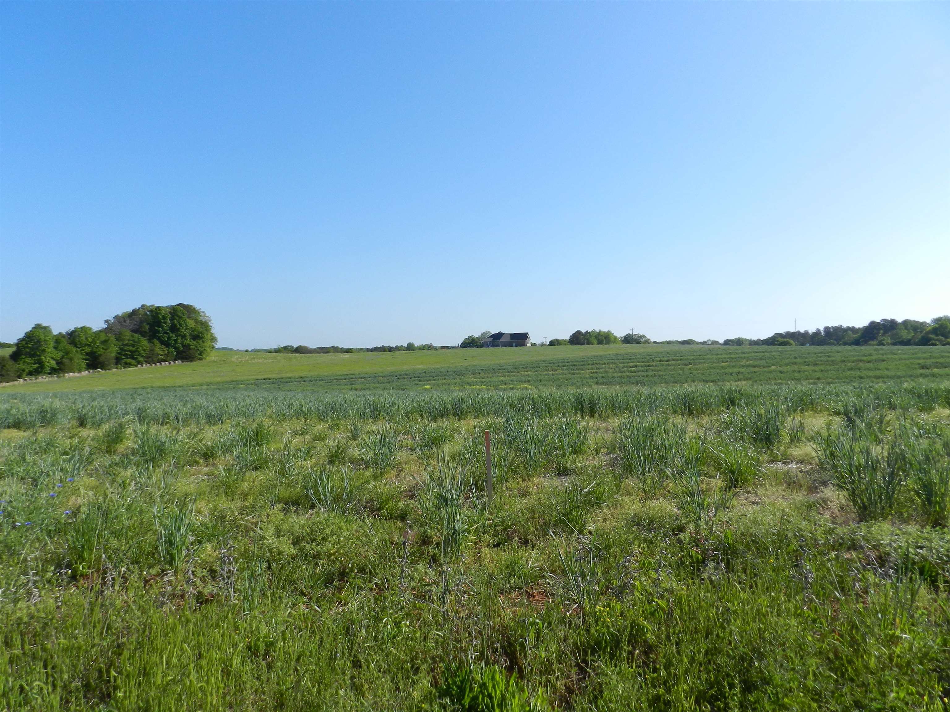 2 Grassy Pond Creek Road Gaffney, SC 29341 - Photo 1 of 12 Gallery Image 1