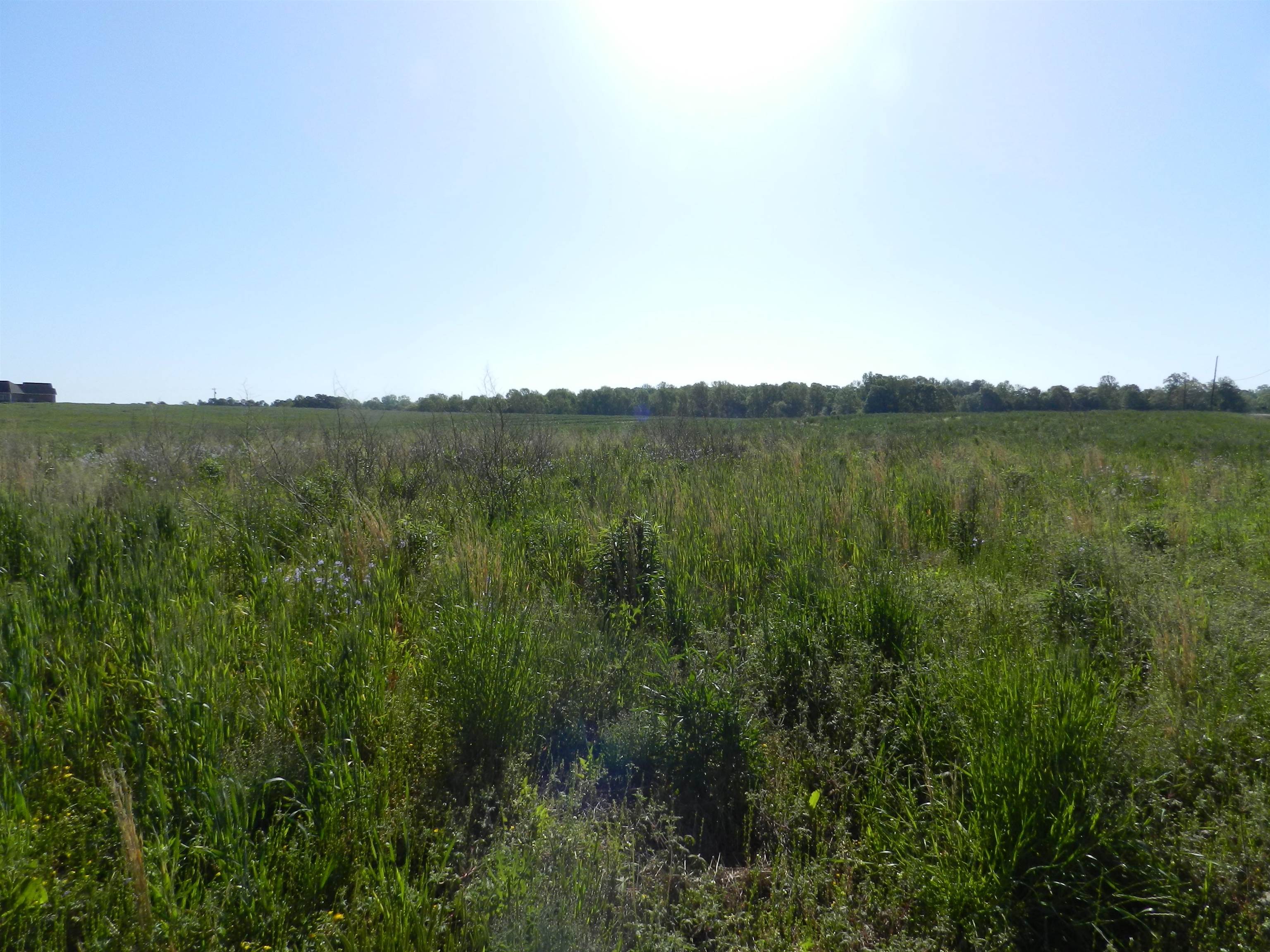 2 Grassy Pond Creek Road Gaffney, SC 29341 - Photo 11 of 12 Gallery Image 11