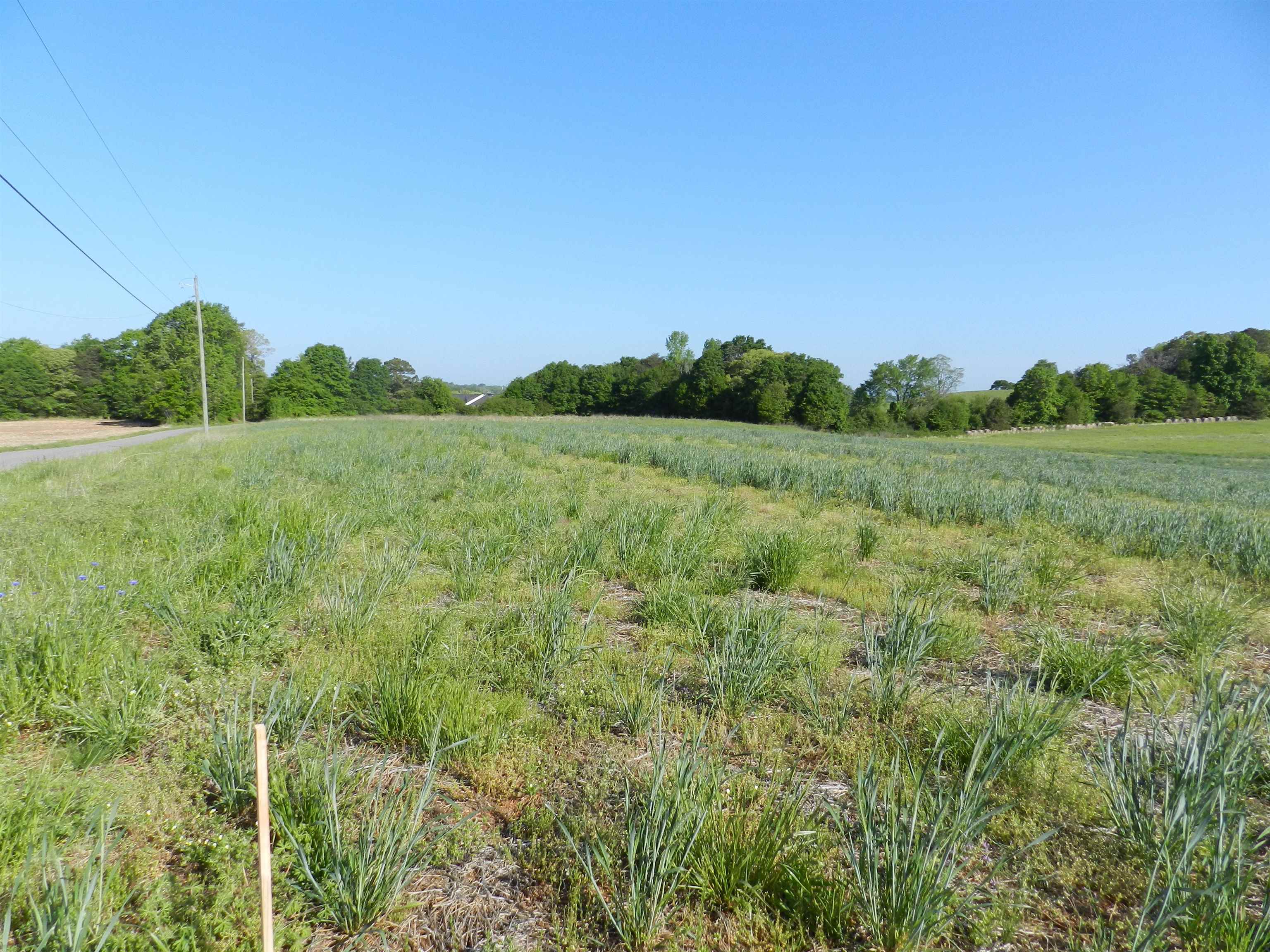 2 Grassy Pond Creek Road Gaffney, SC 29341 - Photo 2 of 12 Gallery Image 2