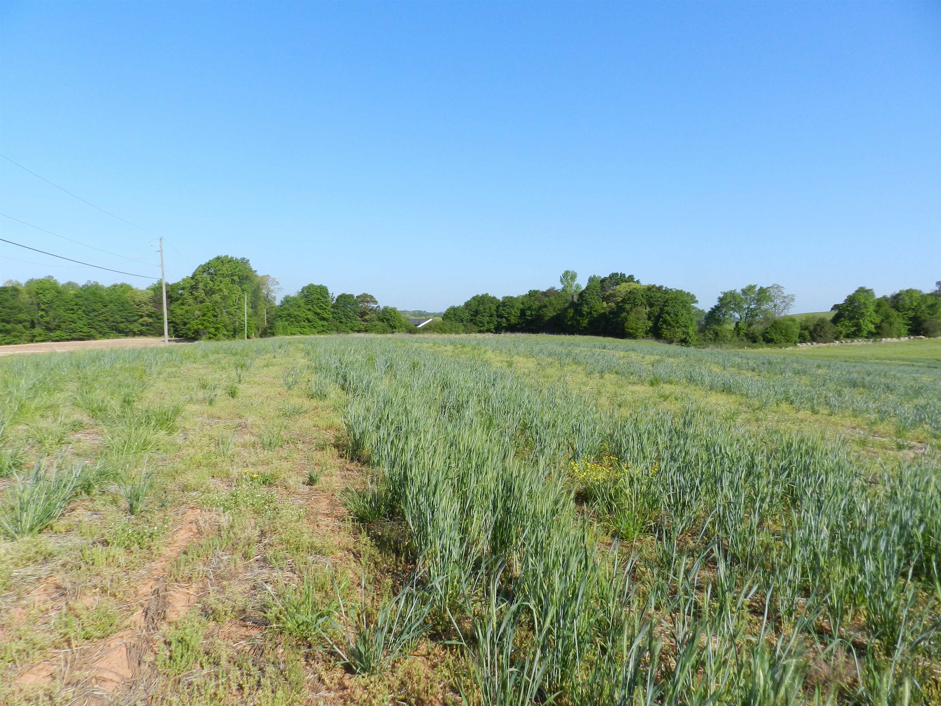 2 Grassy Pond Creek Road Gaffney, SC 29341 - Photo 3 of 12 Gallery Image 3