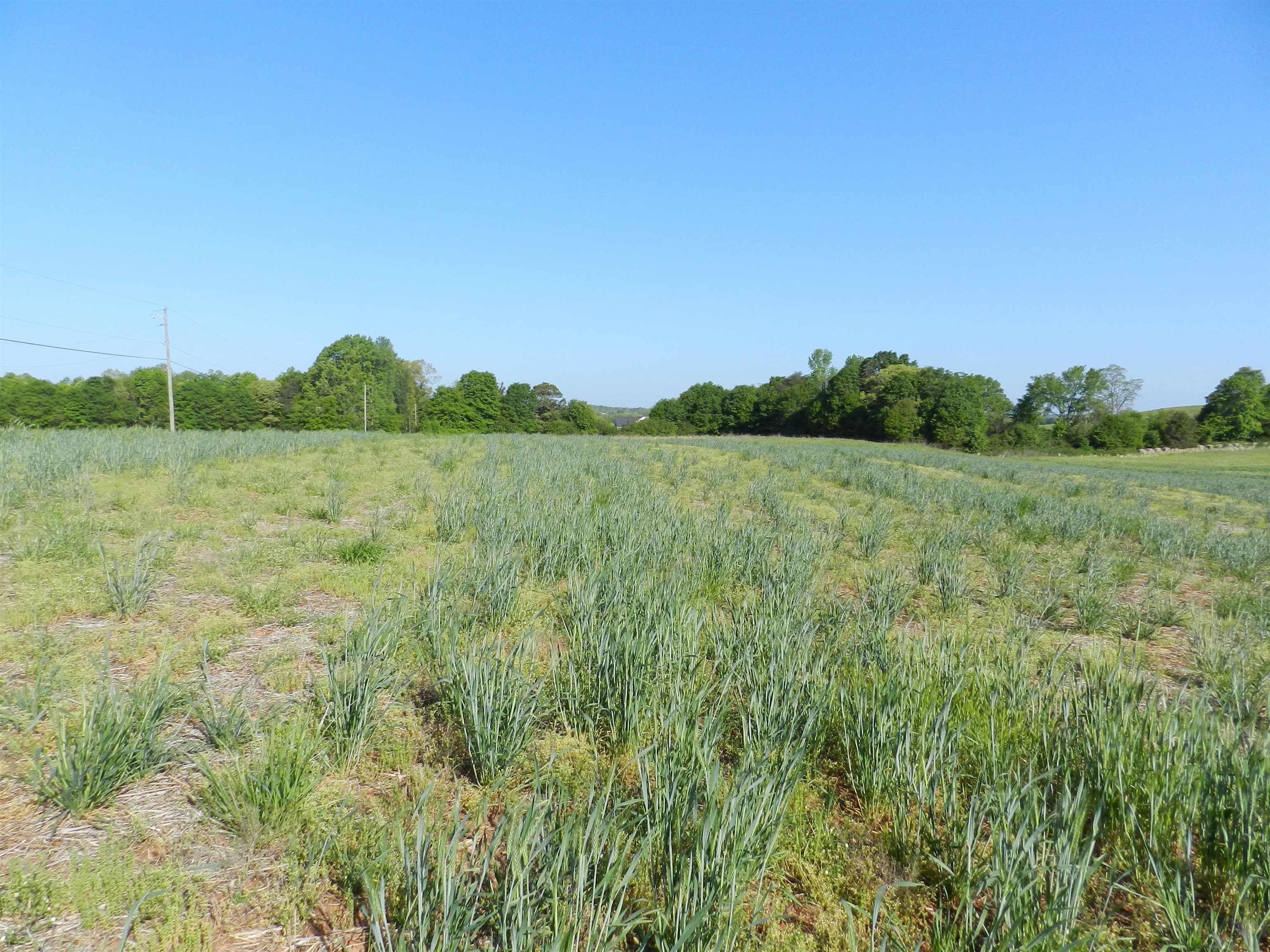 2 Grassy Pond Creek Road Gaffney, SC 29341 - Photo 5 of 12 Gallery Image 5