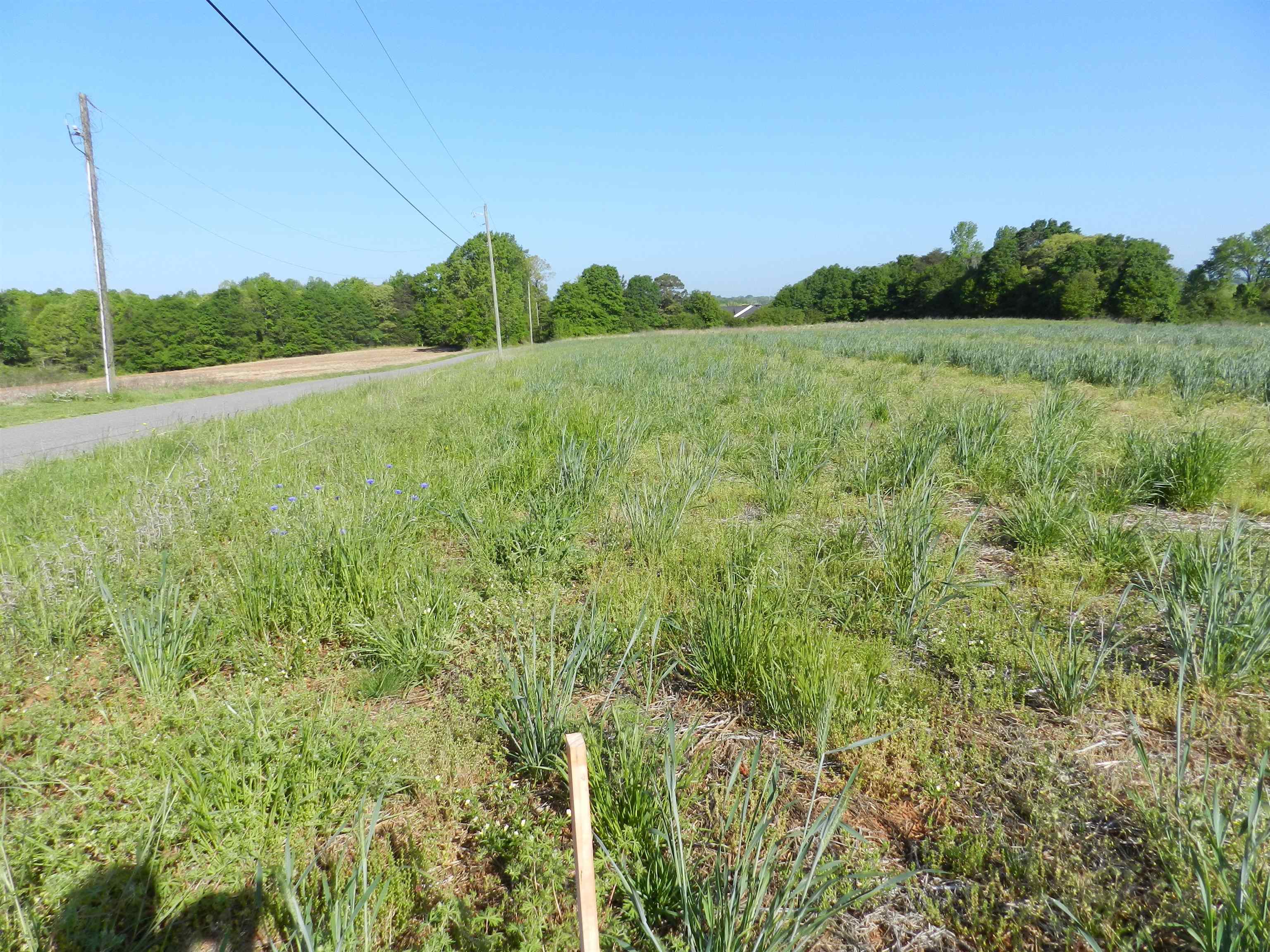 2 Grassy Pond Creek Road Gaffney, SC 29341 - Photo 7 of 12 Gallery Image 7