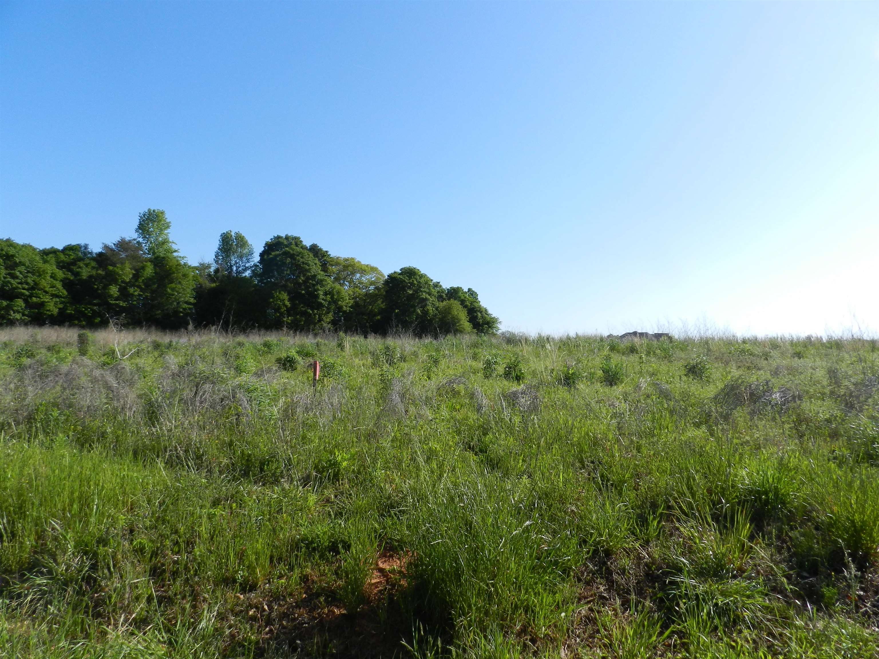 2 Grassy Pond Creek Road Gaffney, SC 29341 - Photo 8 of 12 Gallery Image 8