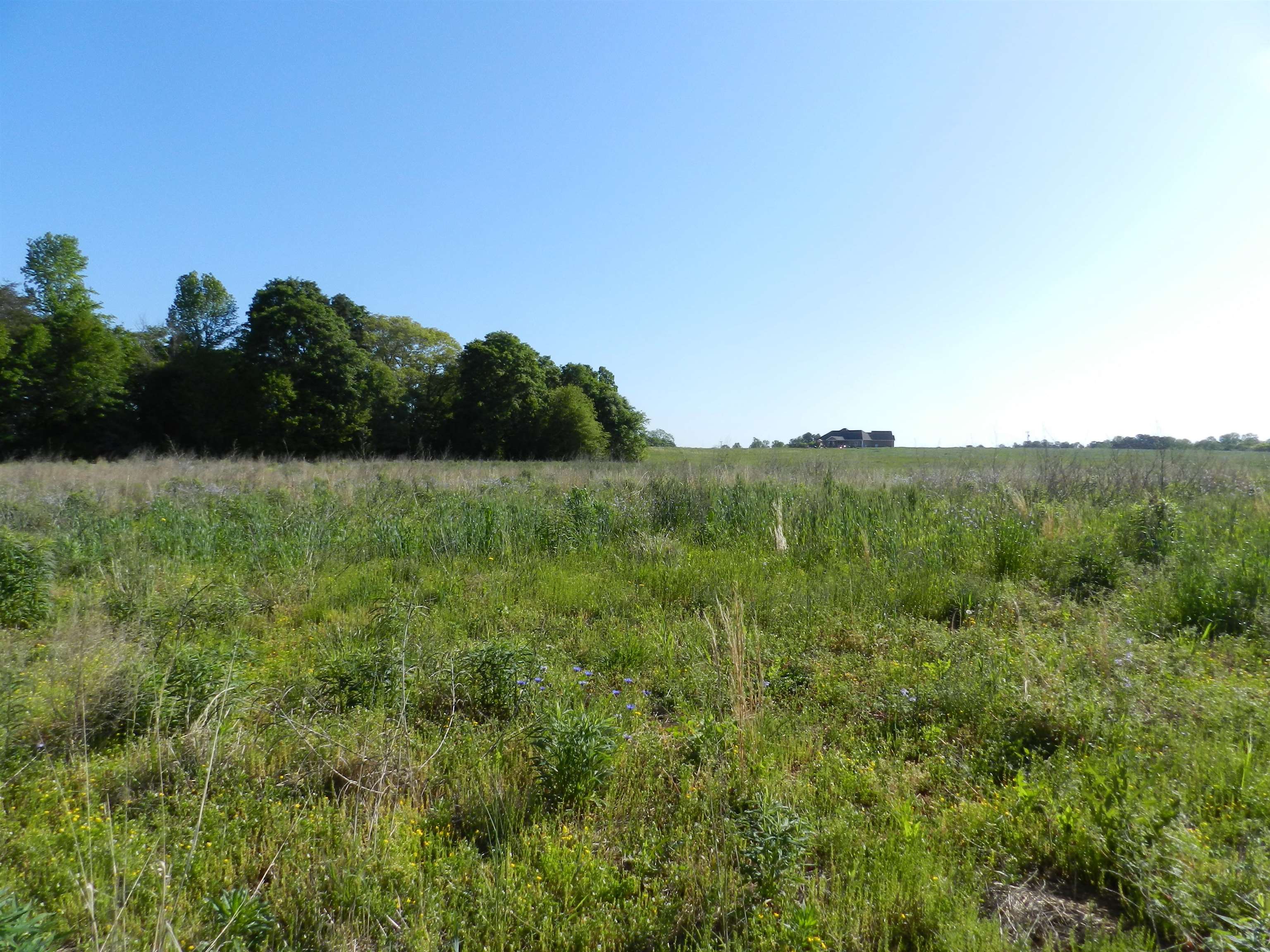 2 Grassy Pond Creek Road Gaffney, SC 29341 - Photo 9 of 12 Gallery Image 9