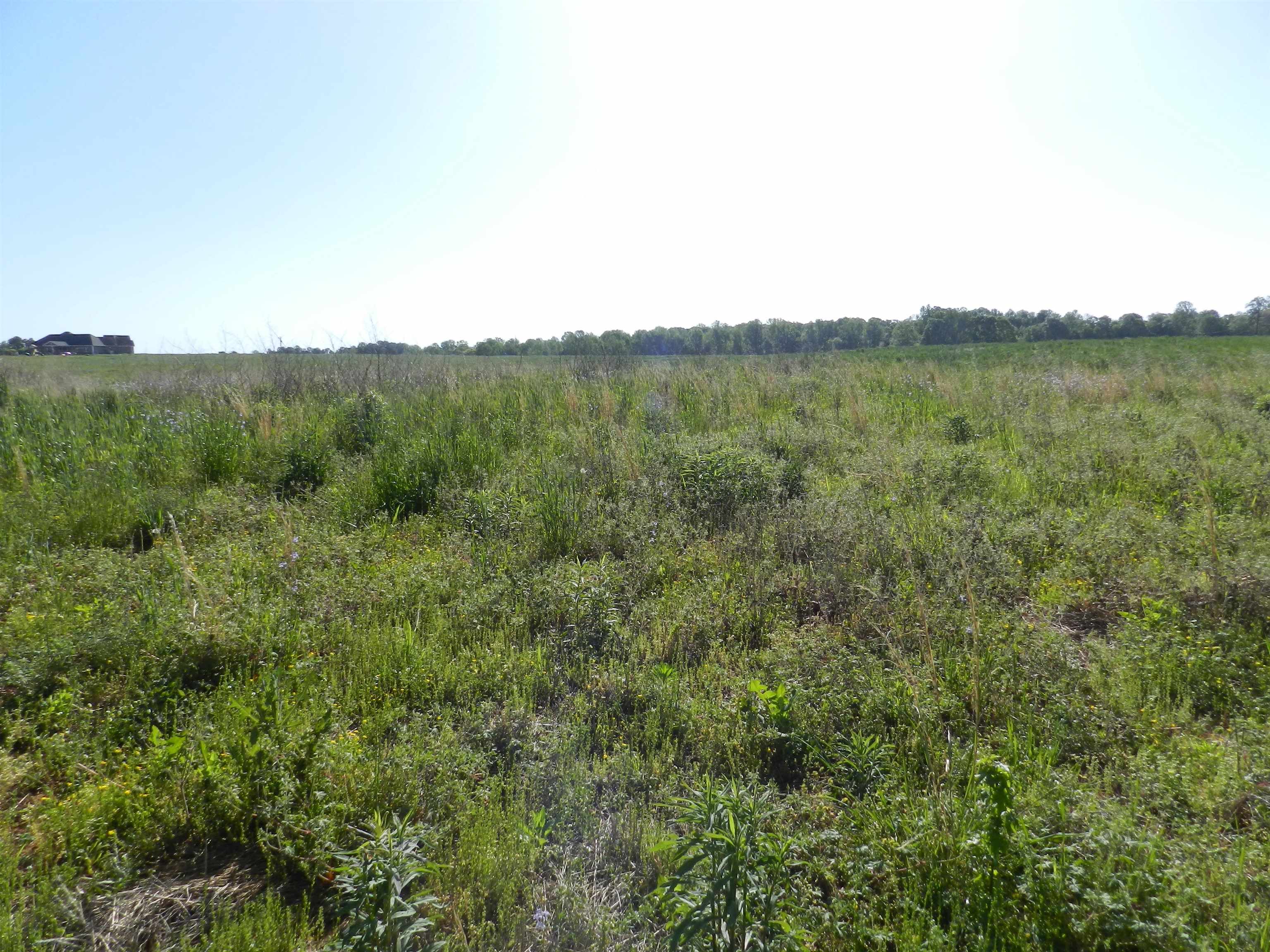 2 Grassy Pond Creek Road Gaffney, SC 29341 - Photo 10 of 12 Gallery Image 10