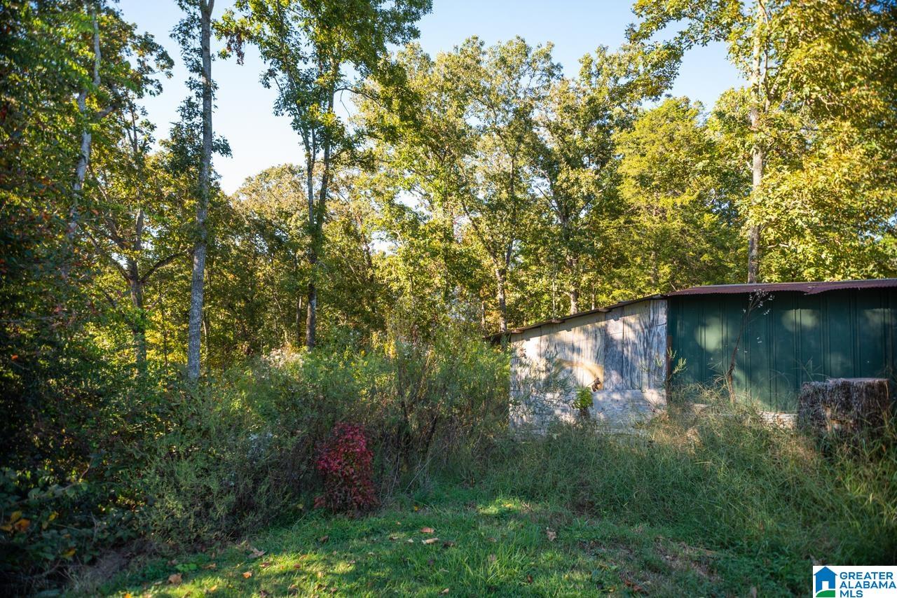 1757 Driving Range Road Cropwell, AL 35054 - Photo 10 of 49 Gallery Image 10