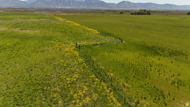 320 South 5400 West Logan, UT 84321 - Photo 22 of 42 Expansive green acreage featuring natural vegetation and distant mountain ranges