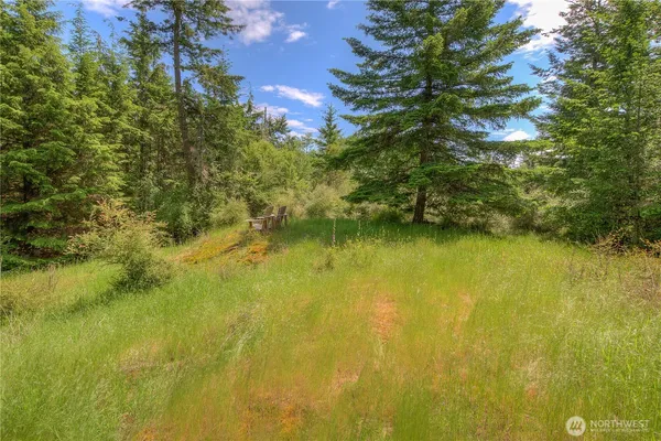 $100,000 | 155 Dragonfly Drive, Orcas Island, WA 98279