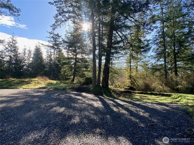 $135,000 | 155 Dragonfly Drive, Orcas Island, WA 98279