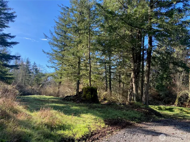 $135,000 | 155 Dragonfly Drive, Orcas Island, WA 98279