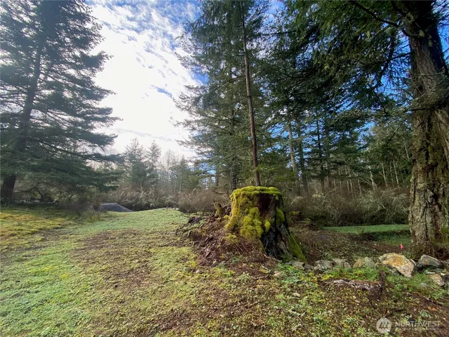 $135,000 | 155 Dragonfly Drive, Orcas Island, WA 98279