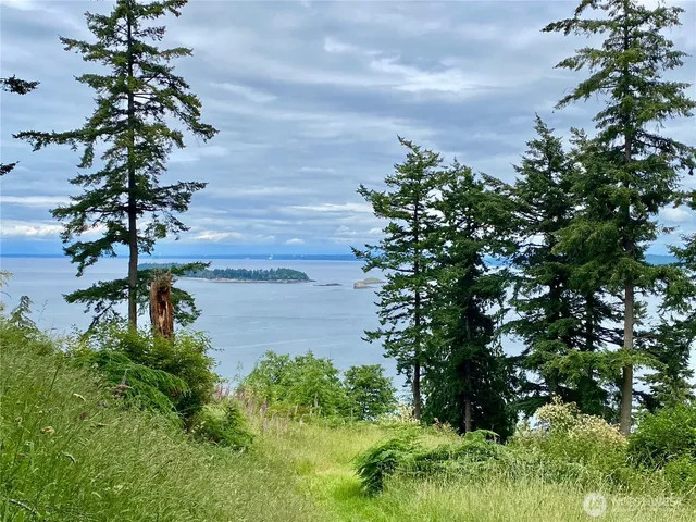 $135,000 | 155 Dragonfly Drive, Orcas Island, WA 98279