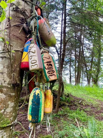 $135,000 | 155 Dragonfly Drive, Orcas Island, WA 98279