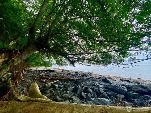 $135,000 | 155 Dragonfly Drive, Orcas Island, WA 98279