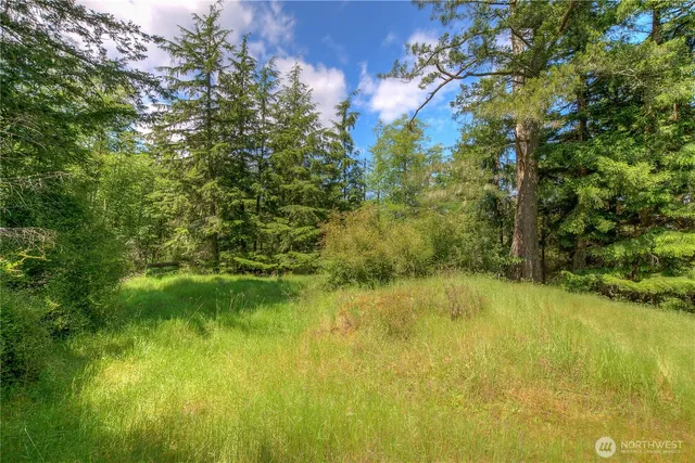 $135,000 | 155 Dragonfly Drive, Orcas Island, WA 98279