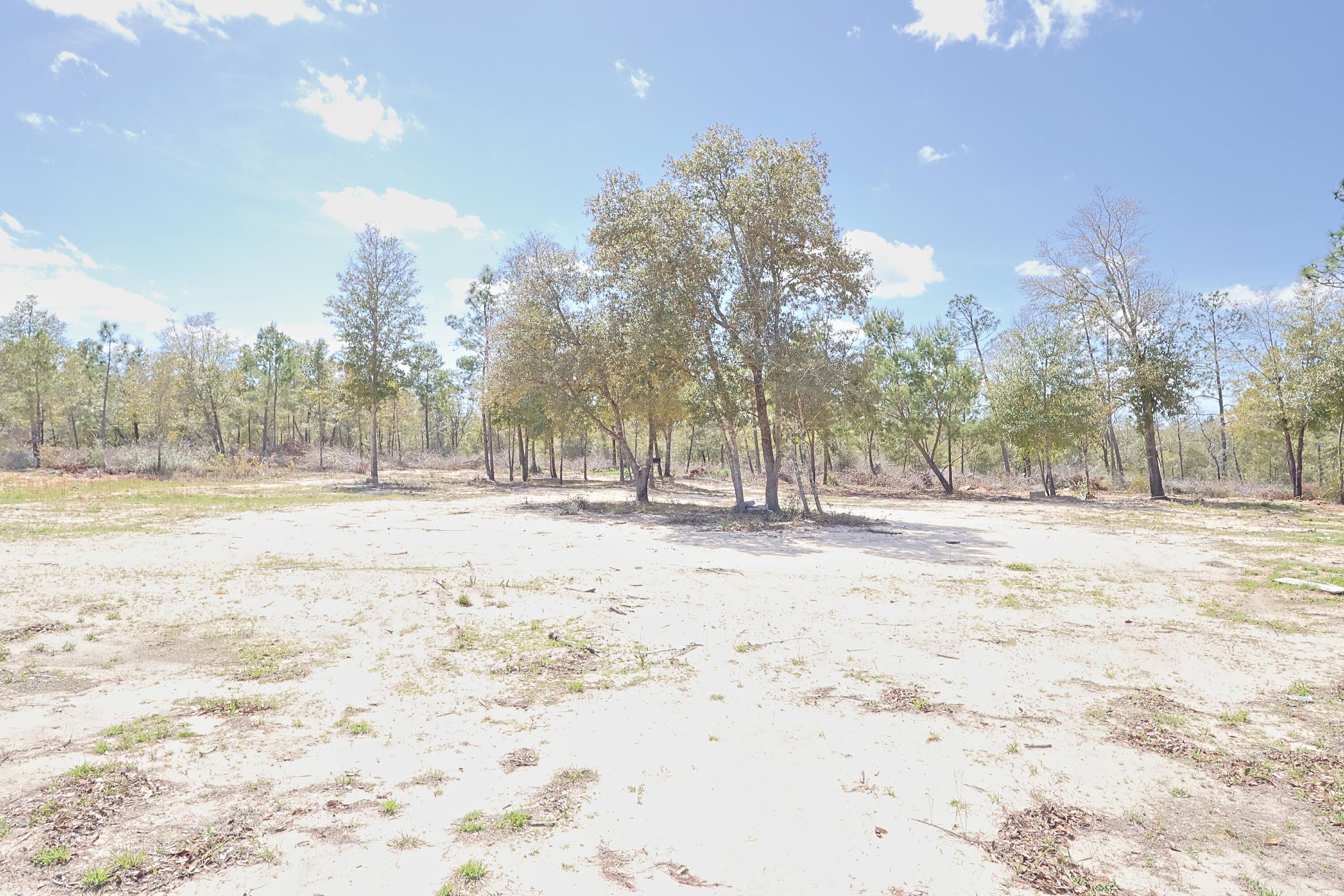 Tbd North Silver Lake Road Fountain, FL 32438 - Photo 7 of 9 a view of road with trees